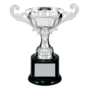 import placeholder for 6 1 2 silver completed metal cup trophy on plastic base