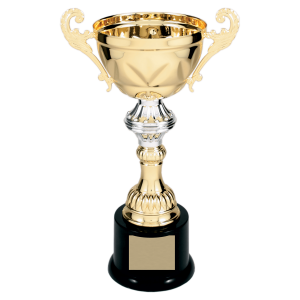import placeholder for 10 gold completed metal cup trophy on plastic base