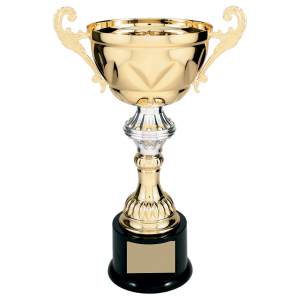 import placeholder for 13 gold completed metal cup trophy on plastic base