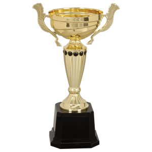 import placeholder for 10 gold completed metal cup trophy on plastic base cmc281