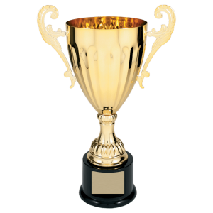 import placeholder for 12 silver gold completed metal cup trophy on plastic base cmc303