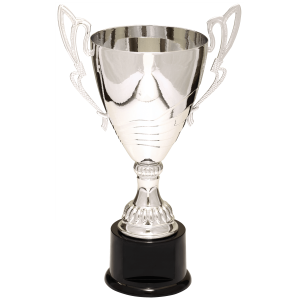 import placeholder for 12 silver gold completed metal cup trophy on plastic base cmc320