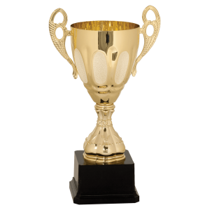 import placeholder for 11 completed metal cup trophy on plastic base cmc701