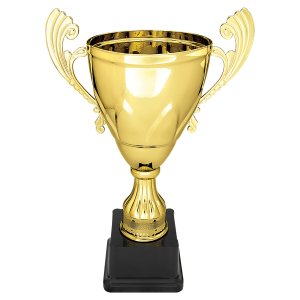import placeholder for 11 gold completed metal cup on plastic base