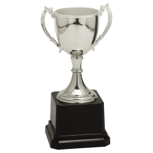 import placeholder for 6 3 4 silver completed zinc cup trophy
