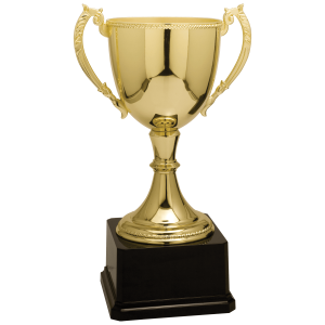 import placeholder for 11 gold completed zinc cup trophy