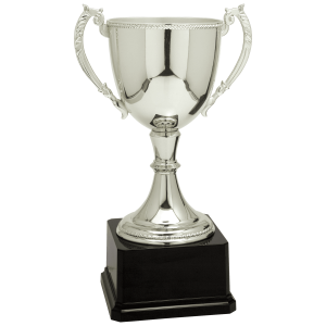 import placeholder for 12 3 4 silver completed zinc cup trophy