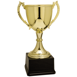 import placeholder for 16 3 4 gold completed zinc cup trophy