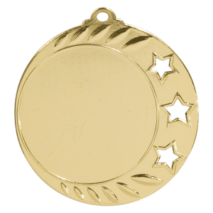 import placeholder for 2 3 4 bright gold 3 star 2 insert holder medal