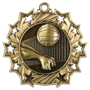import placeholder for 2 1 4 antique gold volleyball ten star medal